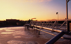 1509427200137680.png blob.png